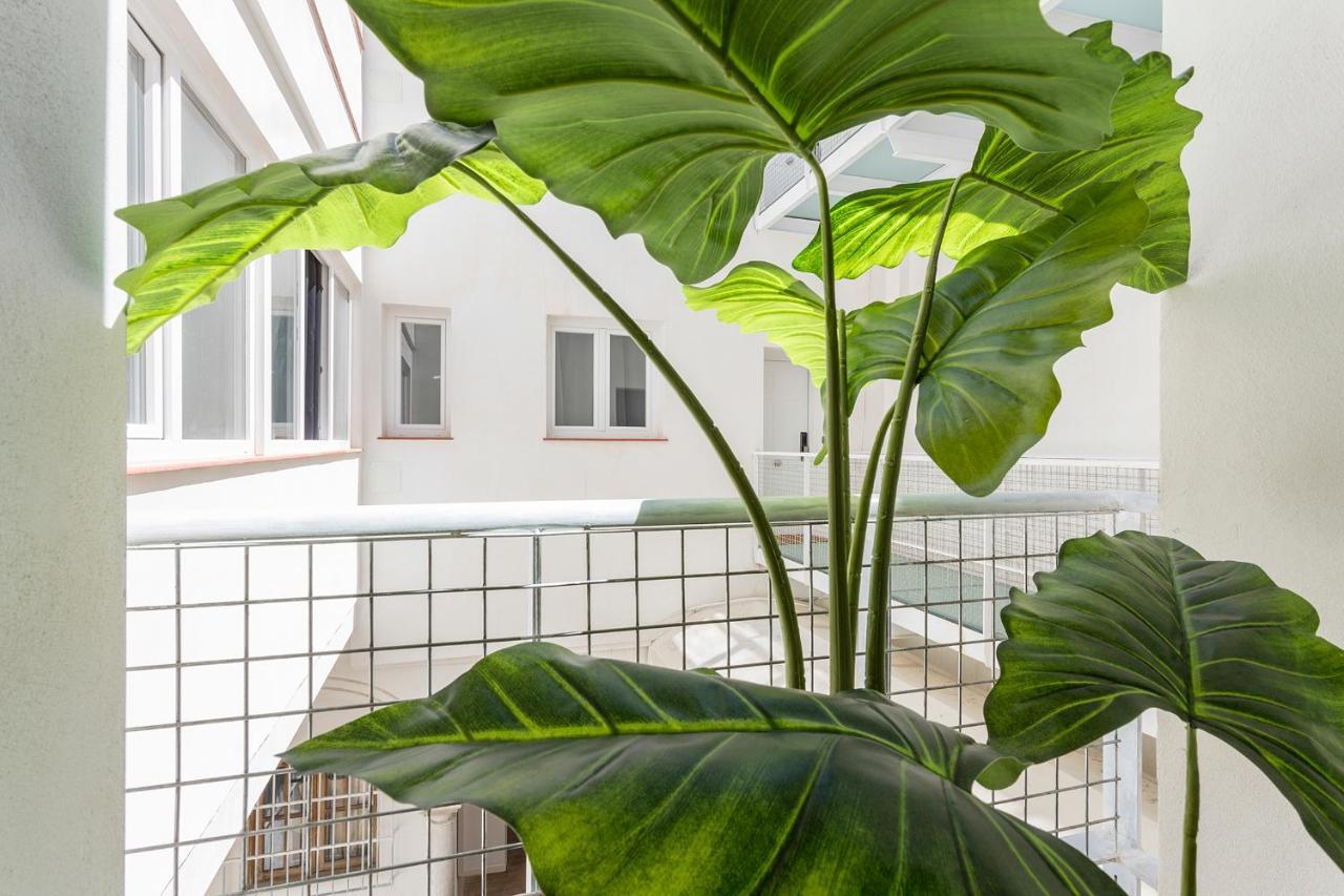 Apartament Dona Blanca Centro Diseno Minimalista Jerez de la Frontera Zewnętrze zdjęcie